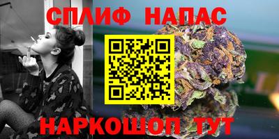 стафф Новозыбков