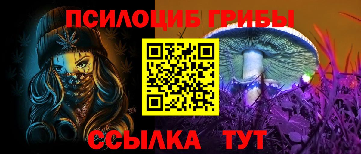 Галлюциногенные грибы Magic Shrooms Сальск