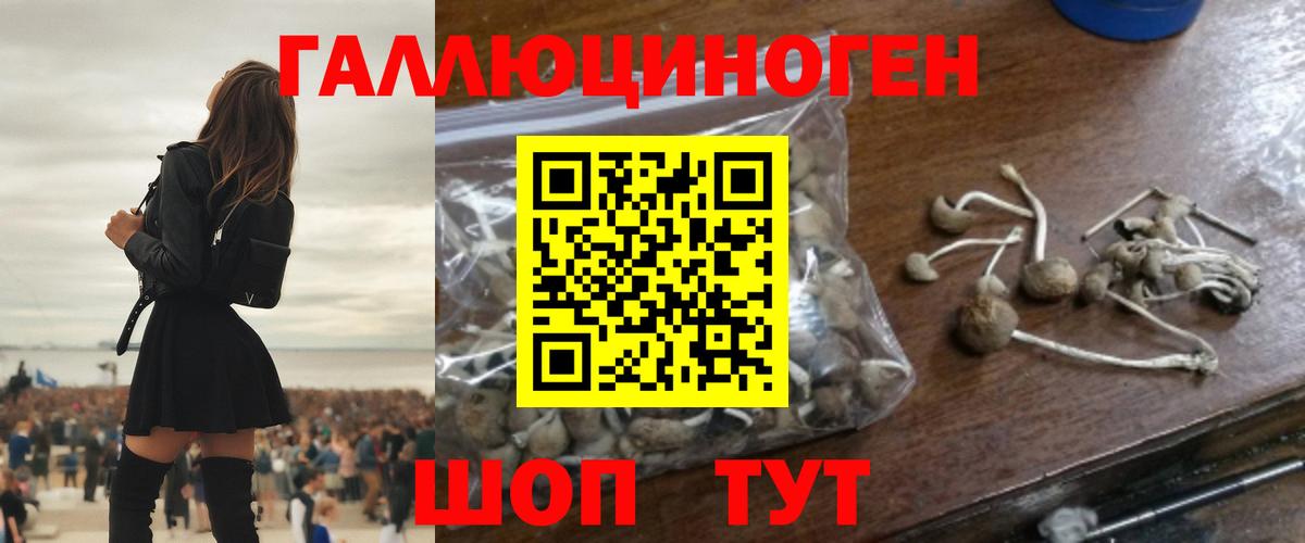 Сальск  Галлюциногенные грибы MAGIC MUSHROOMS  Вход с VPN 